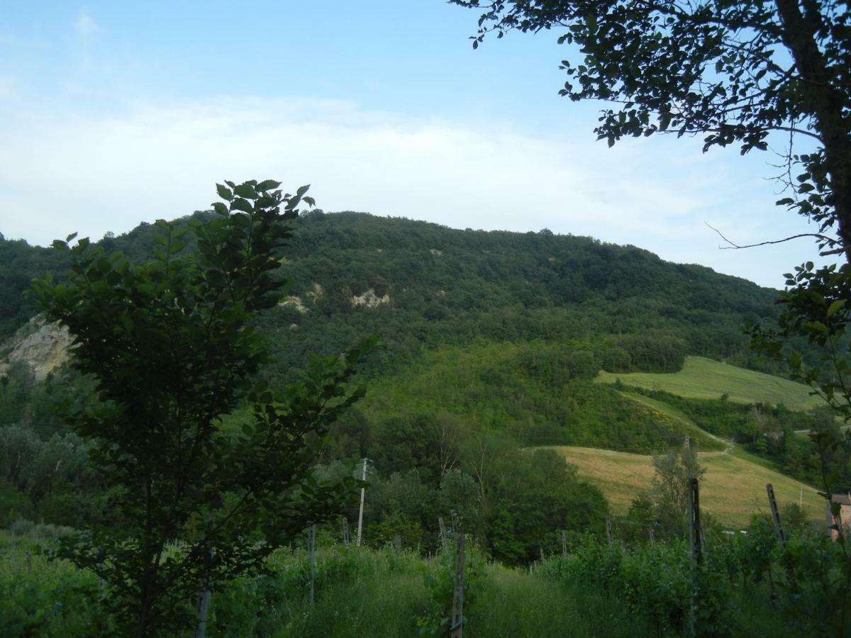 Alloggio per agriturismo La Colombarola *