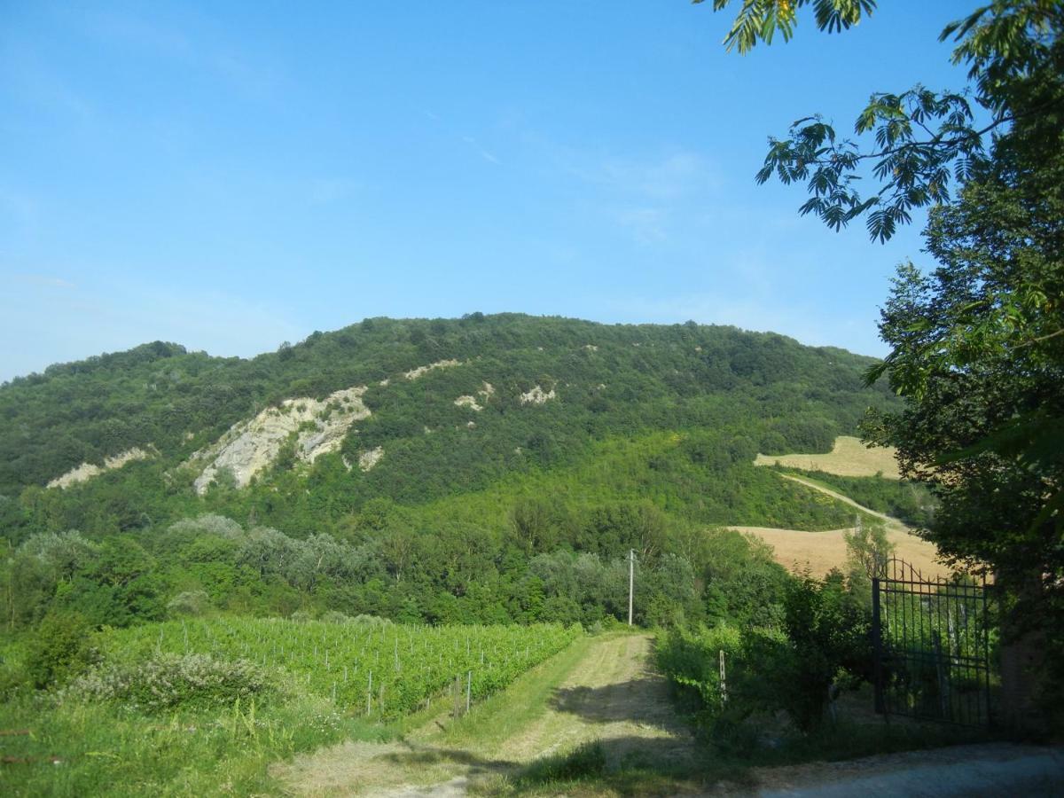 La Colombarola Alloggio per agriturismo *